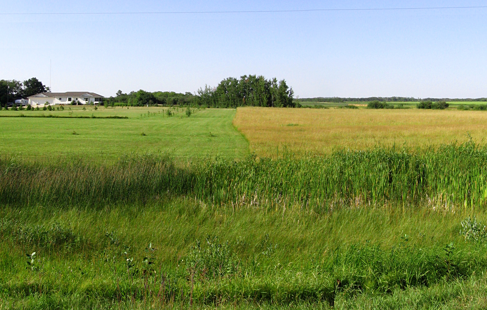 mowed | not mowed