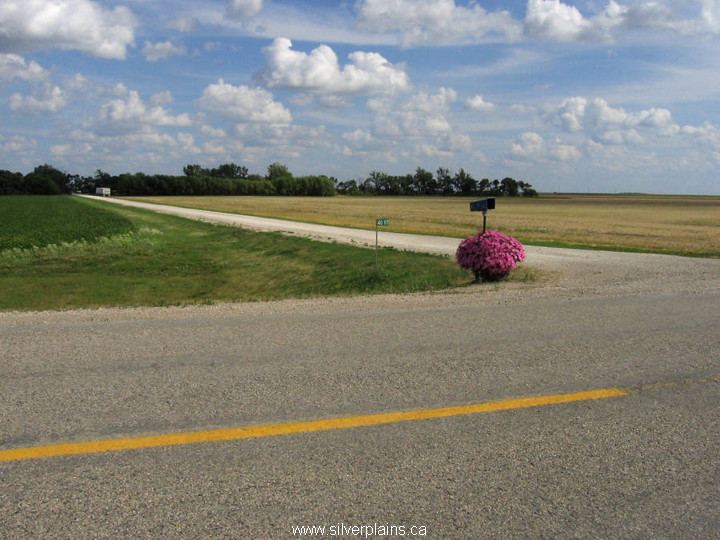 improved grassland?