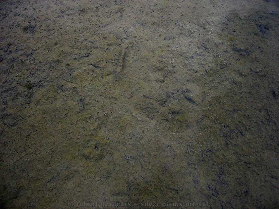 soil water