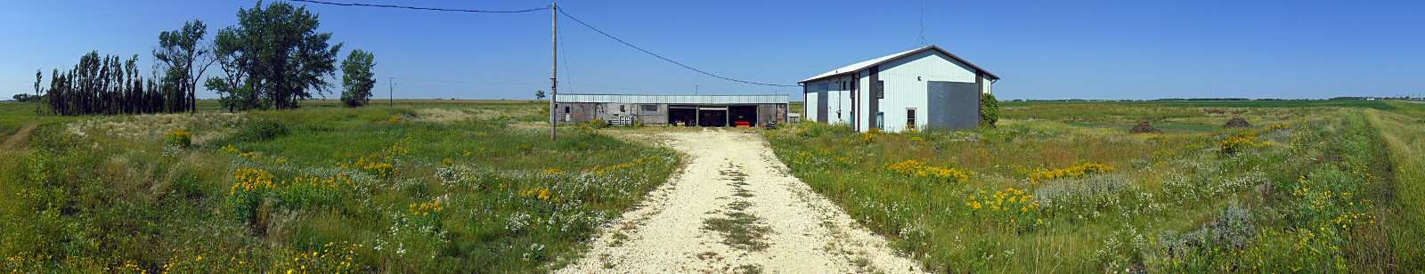 west, front, east yard(s) ~ August 2014