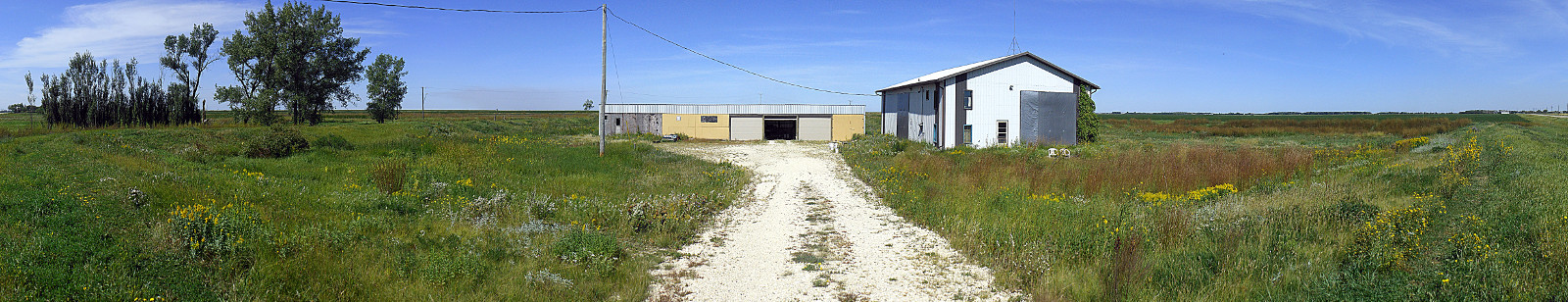 west, front, east yard(s) ~ August 2016